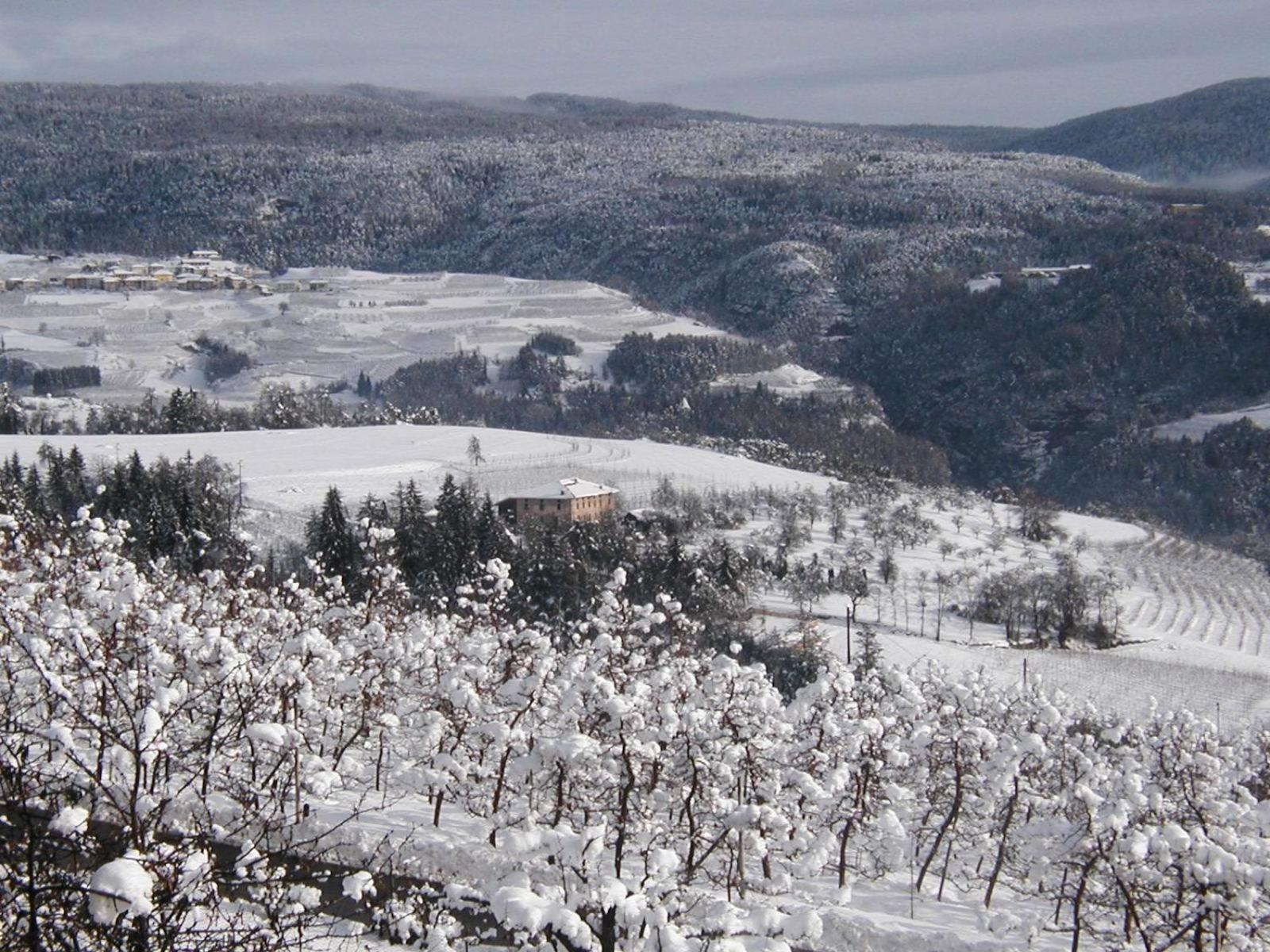 Locanda Alpina Brez Dış mekan fotoğraf